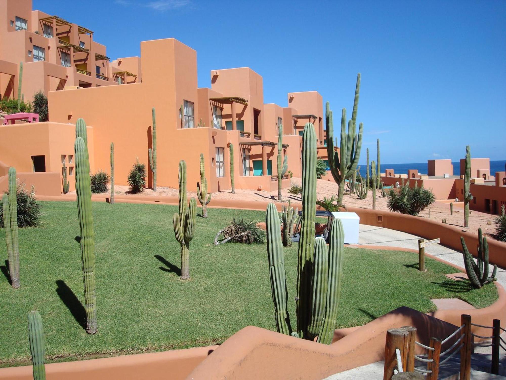 Club Regina Los Cabo Timeshare Rental San Jose del Cabo Exterior photo